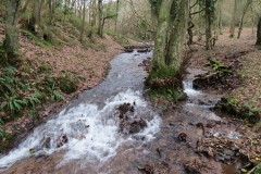 34.-Flowing-through-Holcombe-Combe-12