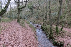 34.-Flowing-through-Holcombe-Combe-2