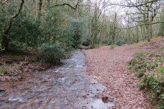 34.-Flowing-through-Holcombe-Combe-5