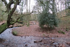 34.-Flowing-through-Holcombe-Combe-6