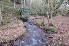 34.-Flowing-through-Holcombe-Combe-9