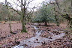 35.-Join-with-Ladys-Combe-Water