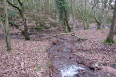 36.-Join-with-Ladys-Combe-Water