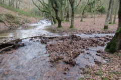 37.-Join-with-Ladys-Combe-Water