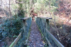 41.-Mares-Pool-Bridge-ROW-No.4169