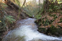 43.-Downstream-from-Mares-Pool-Bridge