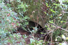 8a.-Holford-bridge-downstream-arch