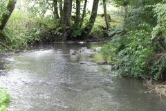 22.-Looking-downstream-from-ROW-Footbridge-4386