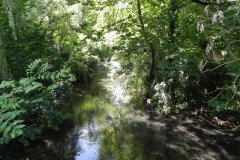 57.-Looking-upstream-from-Coleford-Bridge