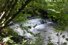 60.-Coleford-Weir