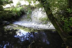 64.-Looking-downstream-from-Coleford-Weir-Footbridge