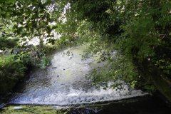 65.-Looking-downstream-from-Coleford-Weir-Footbridge