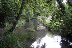 66.-Looking-upstream-from-Coleford-Weir-Footbridge