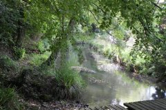 67.-Looking-upstream-from-Coleford-Weir-Footbridge