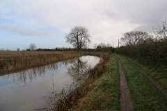 18.-Upstream-from-Kings-Lock-1