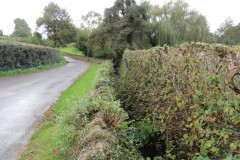 31.-Old-sheepwash-return-flow-2