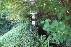 33.-Upstream-from-Splatts-Mill-1