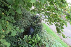 33.-Upstream-from-Splatts-Mill-2