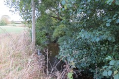 39.-Downstream-from-Accommodation-Bridge-A-1