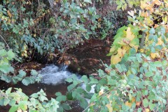 39.-Downstream-from-Accommodation-Bridge-A-3