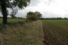 41.-Flowing-beneath-bushes-downsream-from-accommodation-bridge-B-1