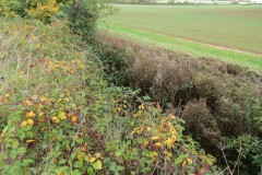 41.-Flowing-beneath-bushes-downsream-from-accommodation-bridge-B-3