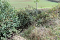 41.-Flowing-beneath-bushes-downsream-from-accommodation-bridge-B-4