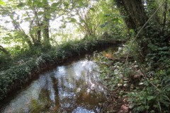 45.-Upstream-from-Currypool-Mill-weir