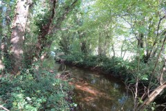 47.-Downstream-from-Currypool-Mill-Weir
