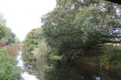 17.-Looking-upstream-from-Wotton-Bridge