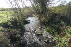 11.-Looking-downstream-from-Cary-Fitzpaine-Farm-Accomodation-Bridge