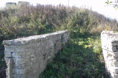 14.-Cary-Fitzpaine-Farm-Footbridge