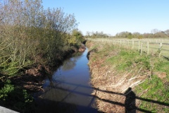 16.-Looking-upstream-from-Cary-Fitzpaine-Bridge