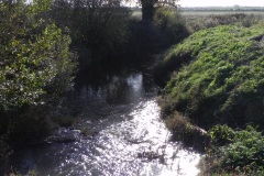 22.-Looking-downstream-from-Cary-Fitzpaine-Bridge