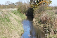 23.-River-view-downstream-from-Cary-Fitzpaine-Bridge