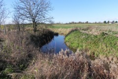 24.-River-view-downstream-from-Cary-Fitzpaine-Bridge
