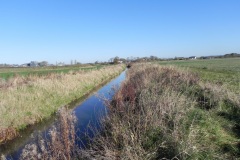 25.-River-view-downstream-from-Cary-Fitzpaine-Bridge