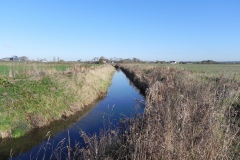 27.-River-view-downstream-from-Cary-Fitzpaine-Bridge