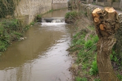4.-Stoney-Brook