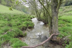 10. Downstream from Tarr Water Cottages