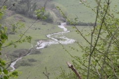 12. Flowing below Lower Court Farm