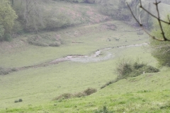 13. Flowing below Lower Court Farm