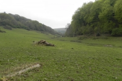 14. Flowing below Lower Court Farm