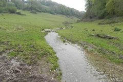 15. Flowing below Lower Court Farm
