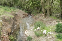 17. Downstream from Lower Court Farm