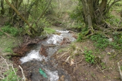 20. Downstream from Lower Court Farm