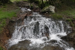 21. Weir downstream from Lower Court Farm