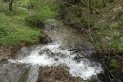 22. Weir downstream from Lower Court Farm