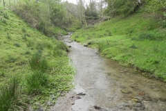 24. Flowing below Selham Wood