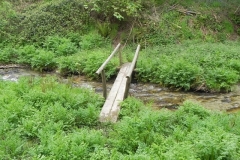 41. Parson's Close Plantation footbridge A